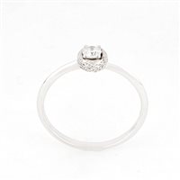 Ring Zorzan Gioielli Woman in White Gold Diamante 0.14 Ct ANPZ3049 - ANPZ3049